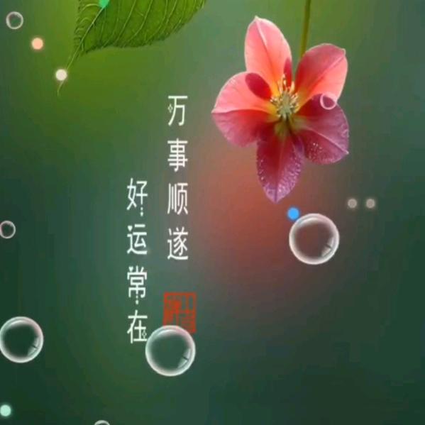 秋雨
