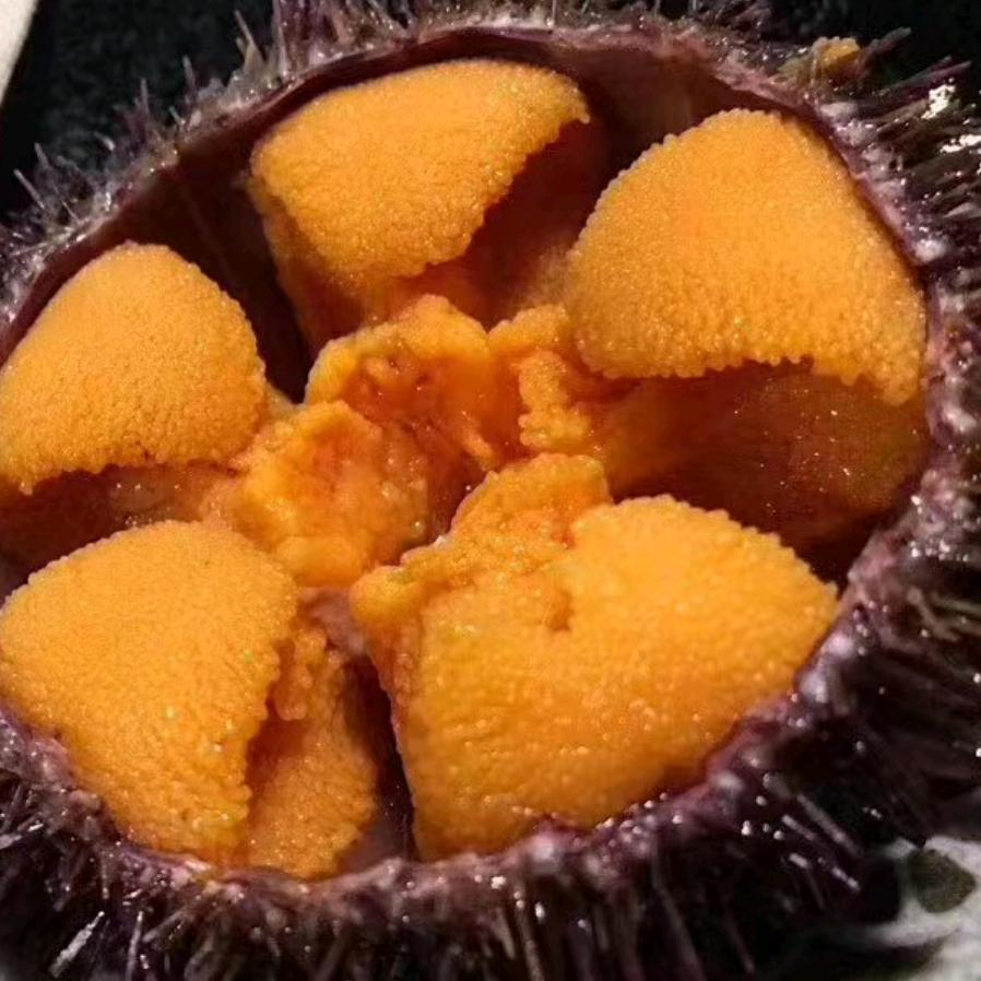 大连御辰堂海产品