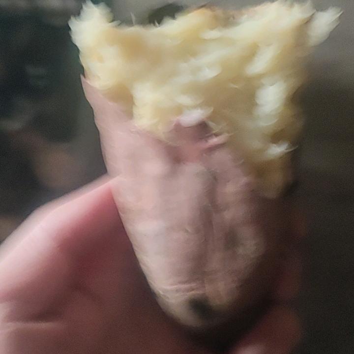 刻录机