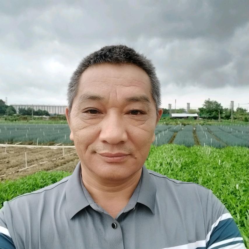 农村三哥
