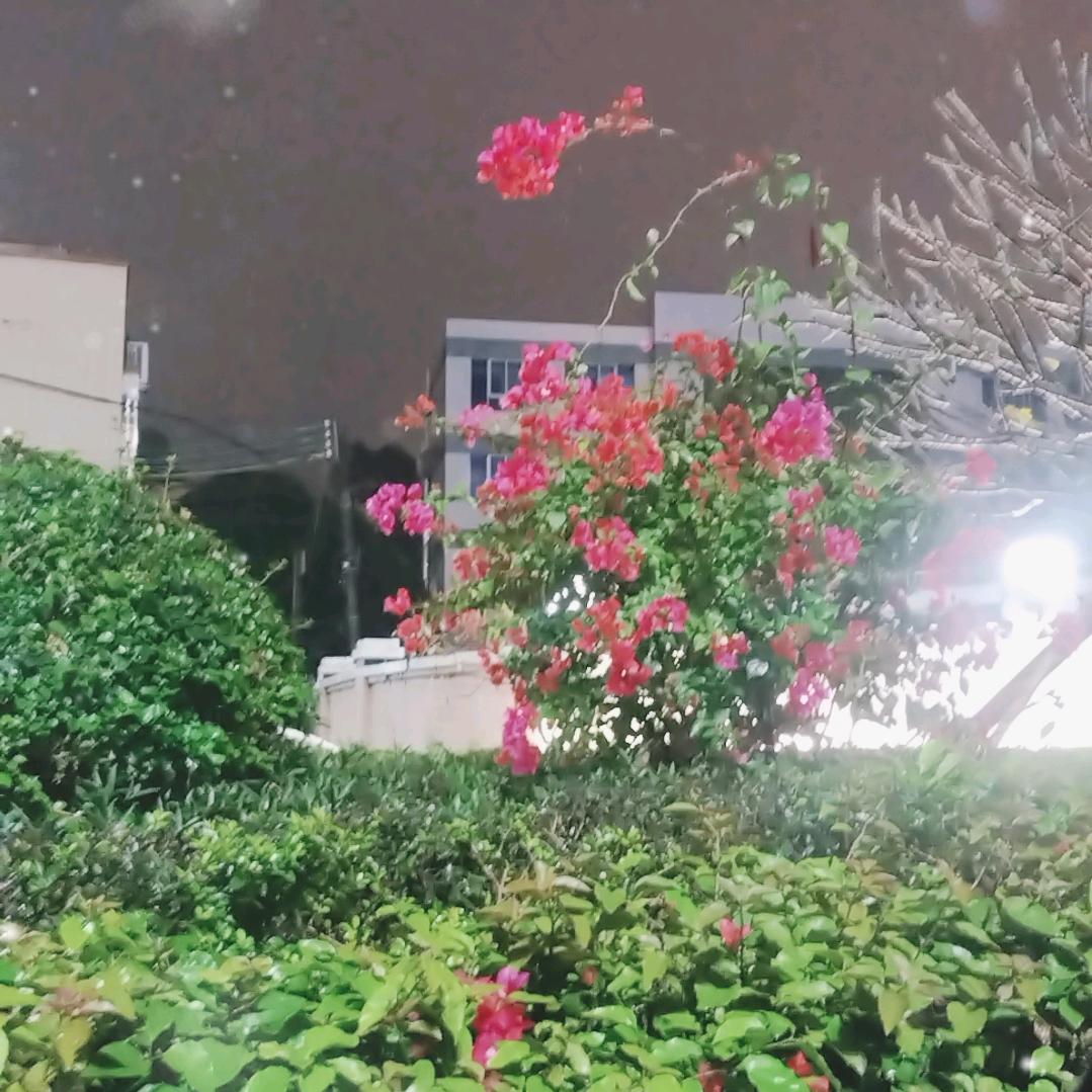 回家的路？？？