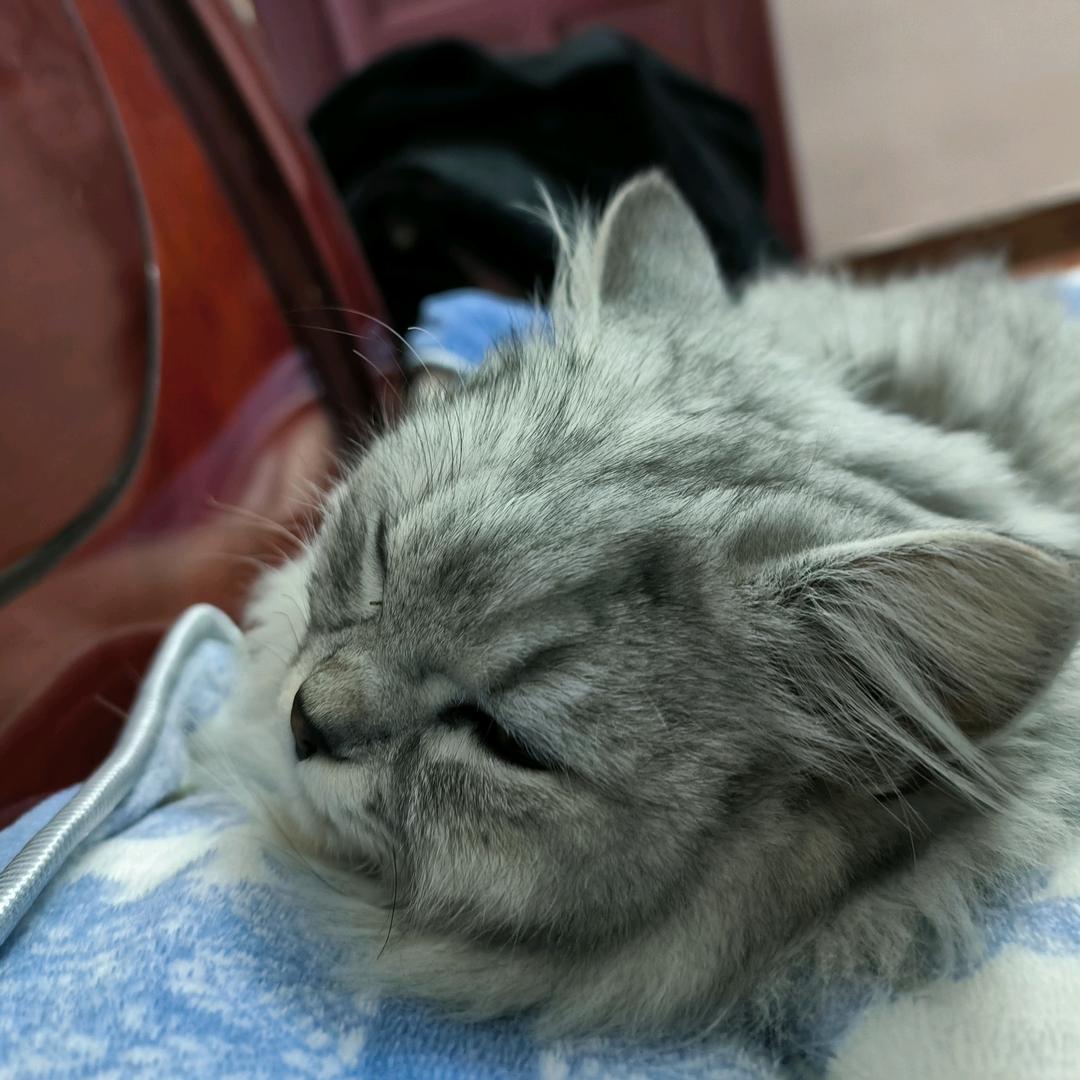 。。