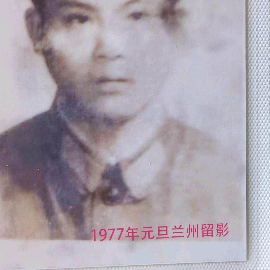 dαshenLinMingZhang森林
