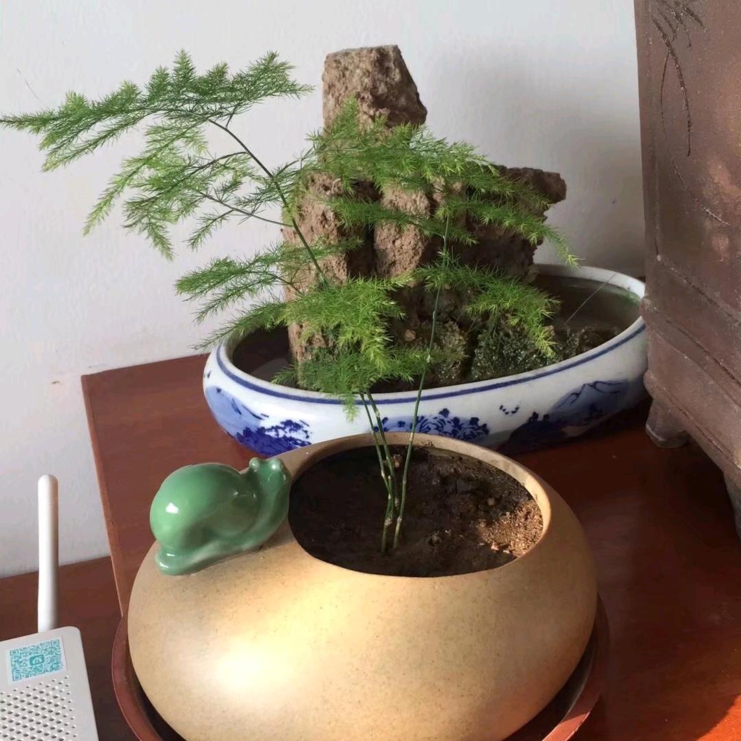 微笑