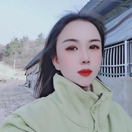 心素如简