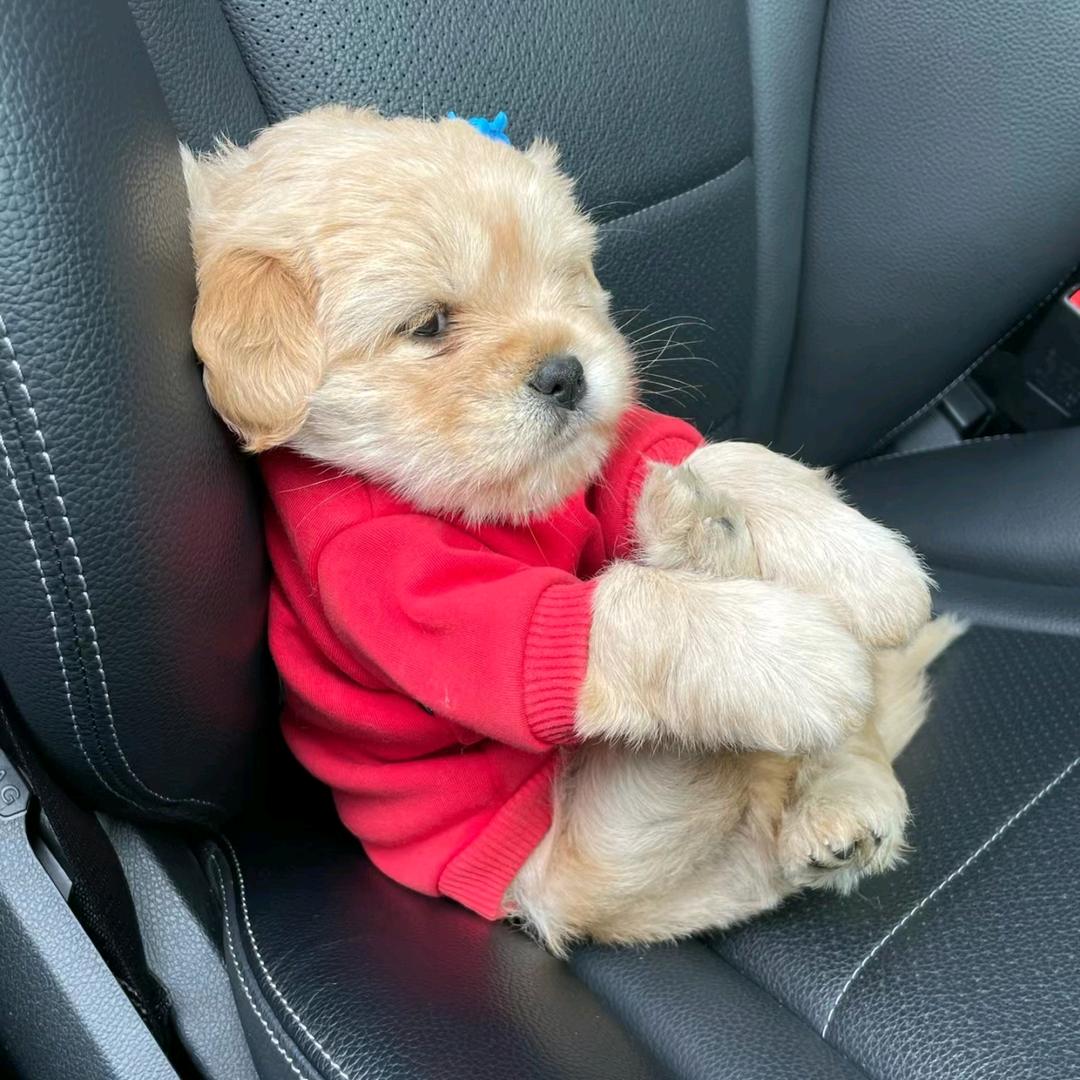 天天在为吃饭犯愁