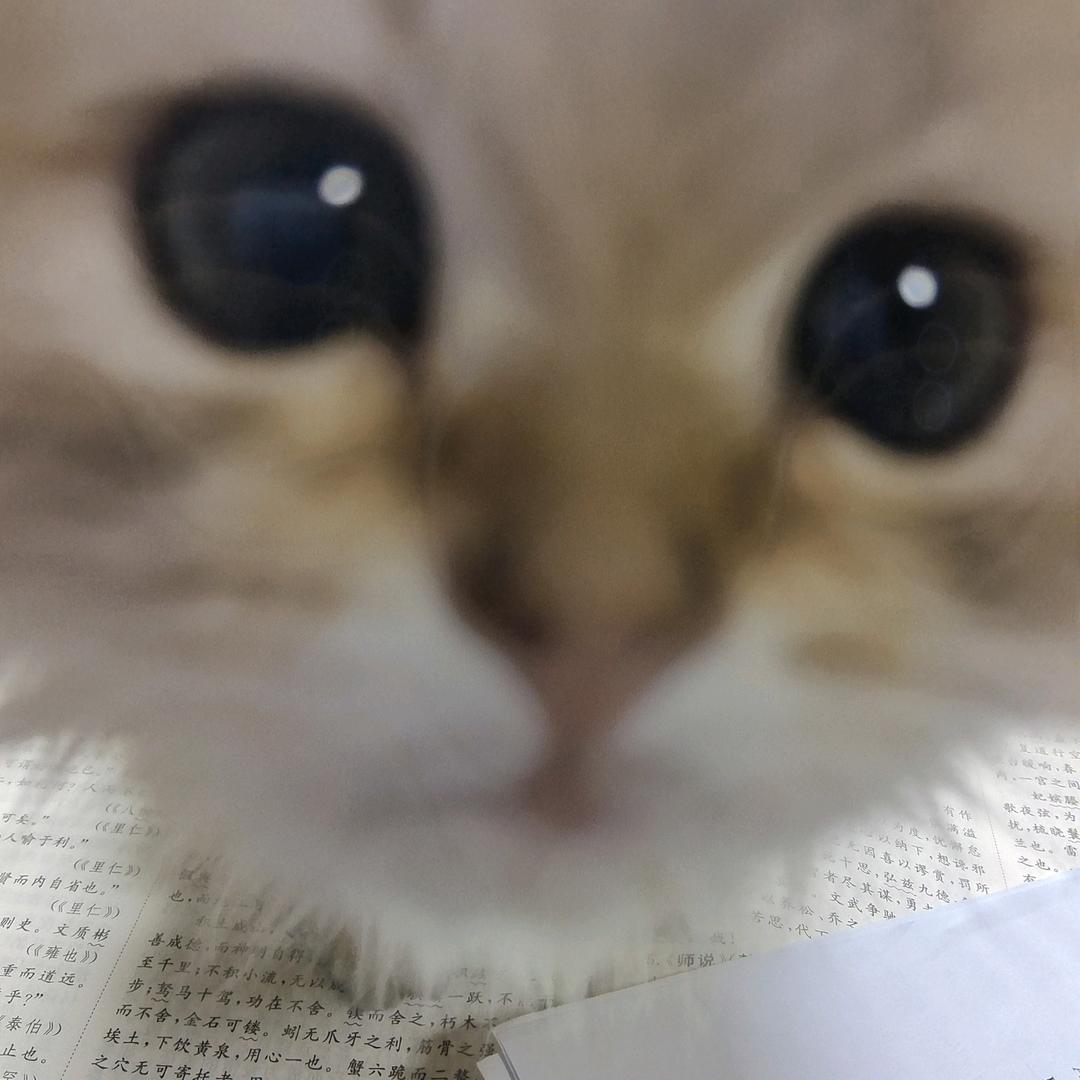 呖咕呖咕