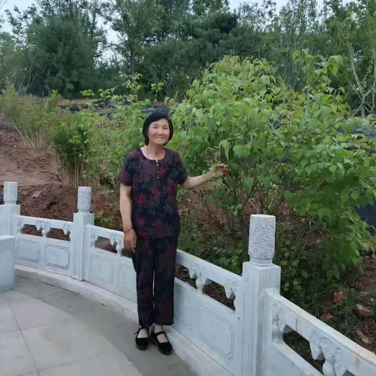 幸福晚年