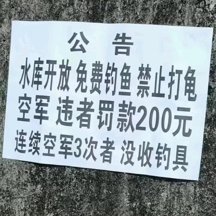 假动作