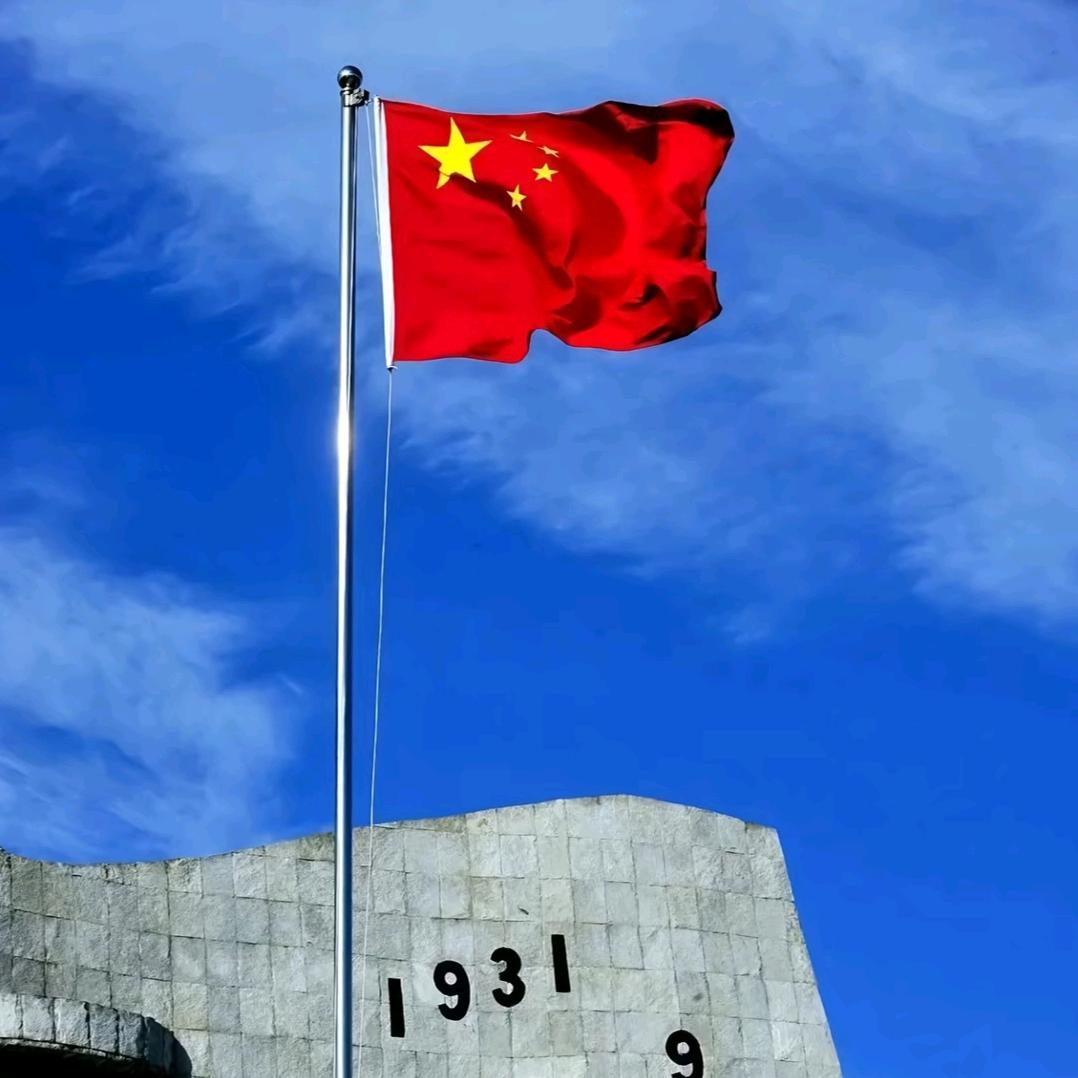 回归自然界