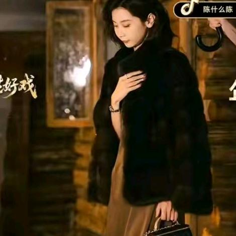 陈什么陈（爆款精选）