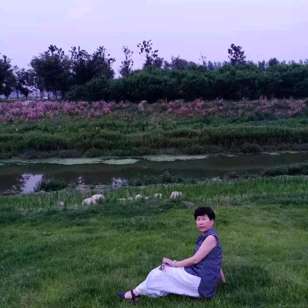 心雨好物分享