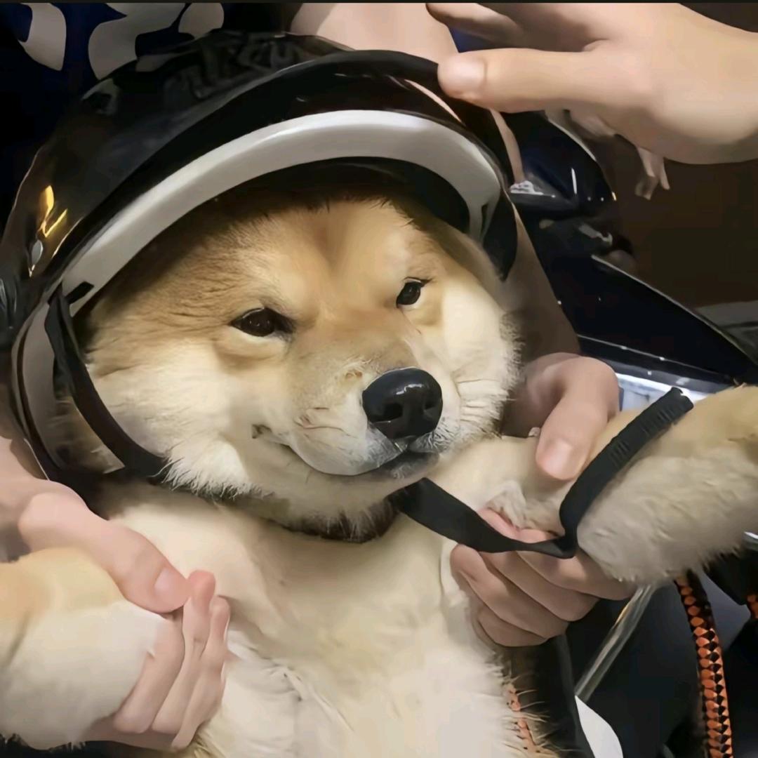 库.