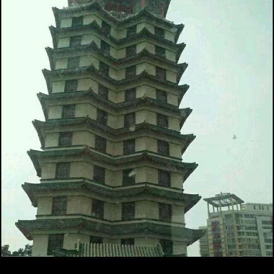 半生归来