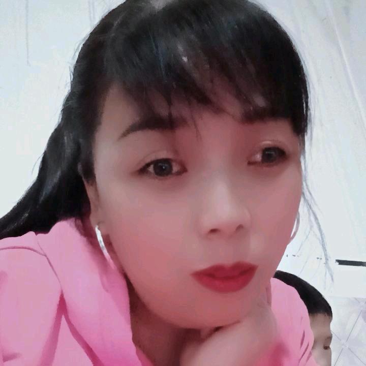 鸽子🕊
