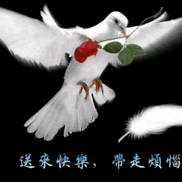 梦里追福🌹🌹🍒🍒王