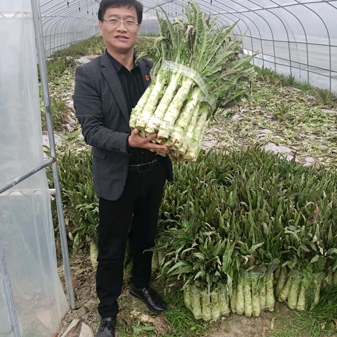 80后兵支书一黄盛根