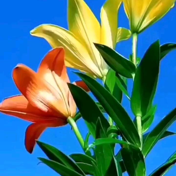 往后余生不再有你