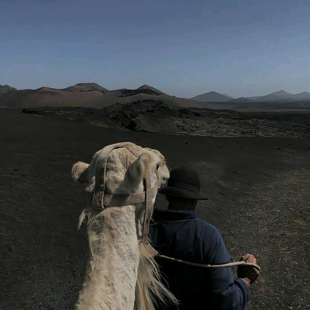 ￴￴￴ ￴￴   ￴