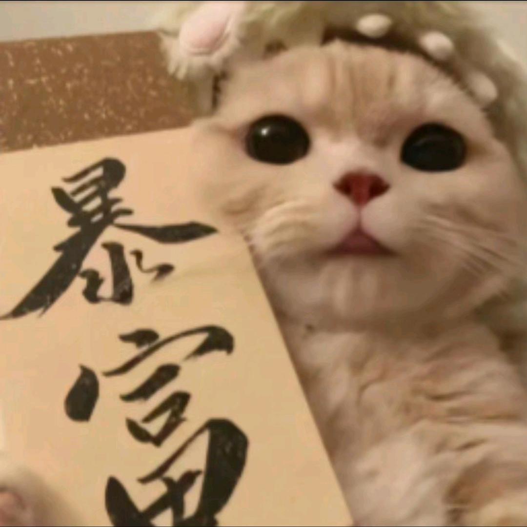 每天都想睡觉💤