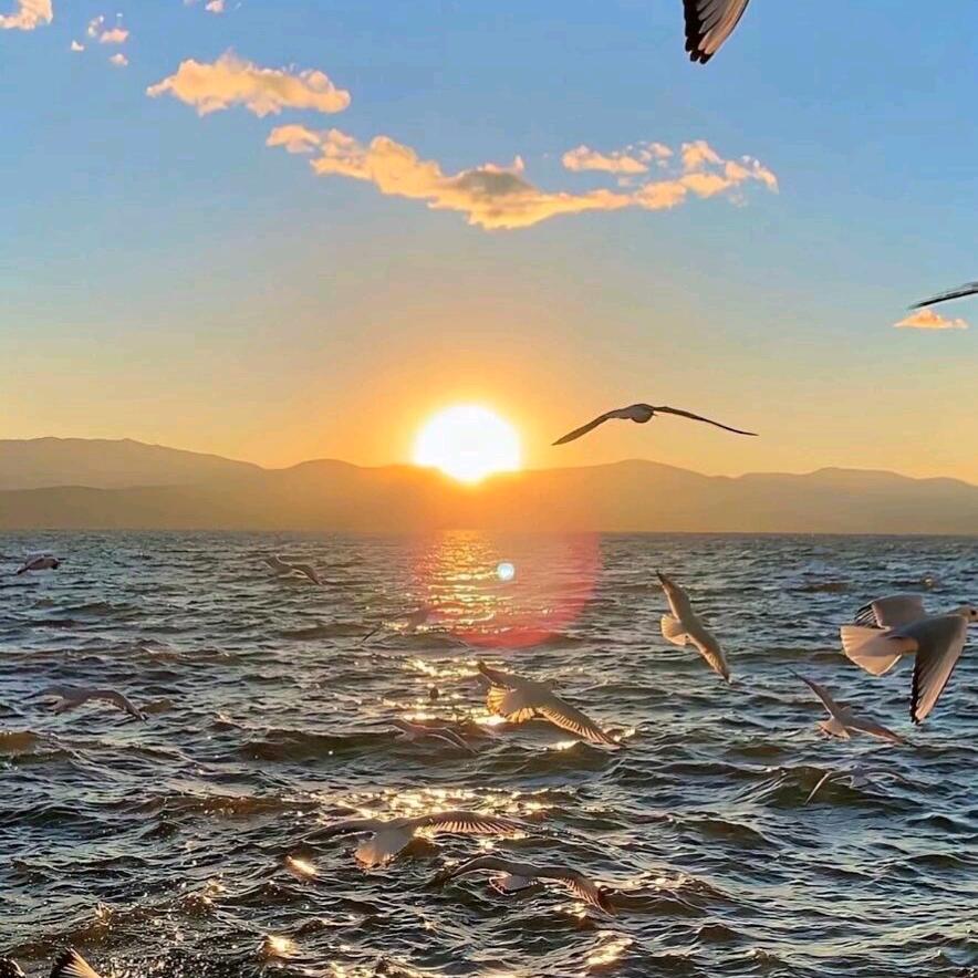 一个人自由自在