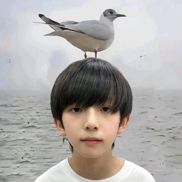 ՞⩌⌯⩌՞