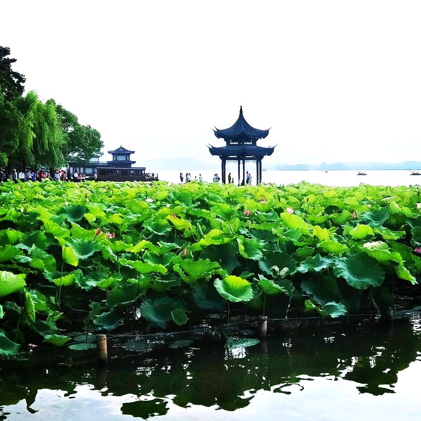 洋县阳阳自助洗车店