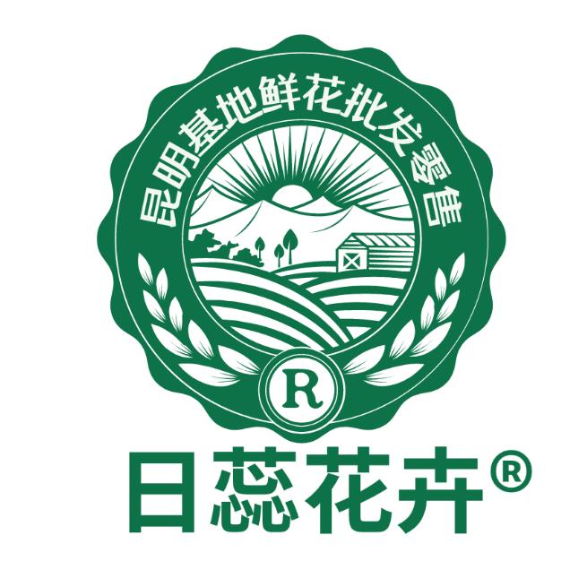 日蕊花卉
