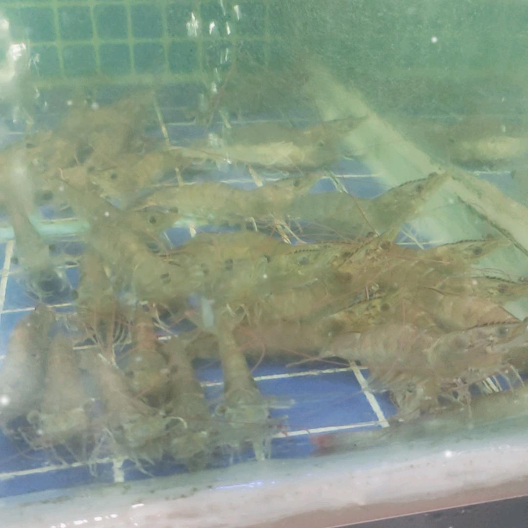 谢记海鲜江北店