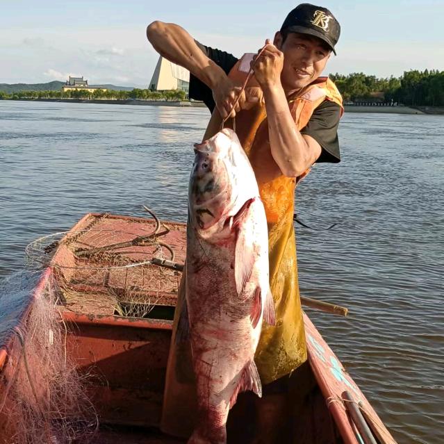 乌苏里江野生鱼