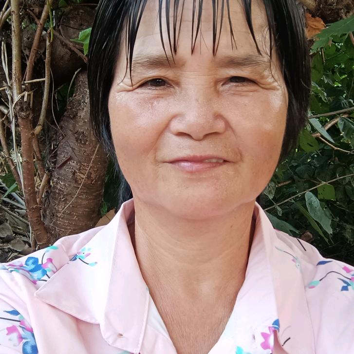 桂芝姐养牛