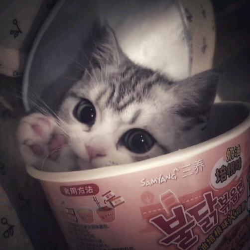 出门被狗咬