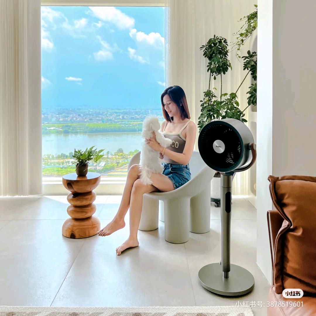 小家电用品推荐