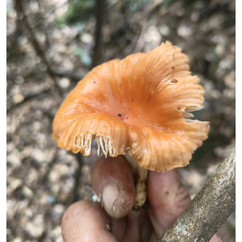 上海嘉晨切割钻孔拆除