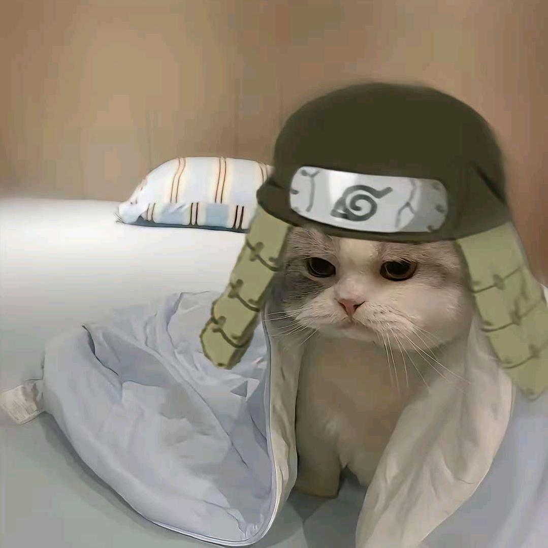 霖