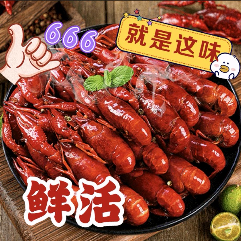 五福居（直播福利号）