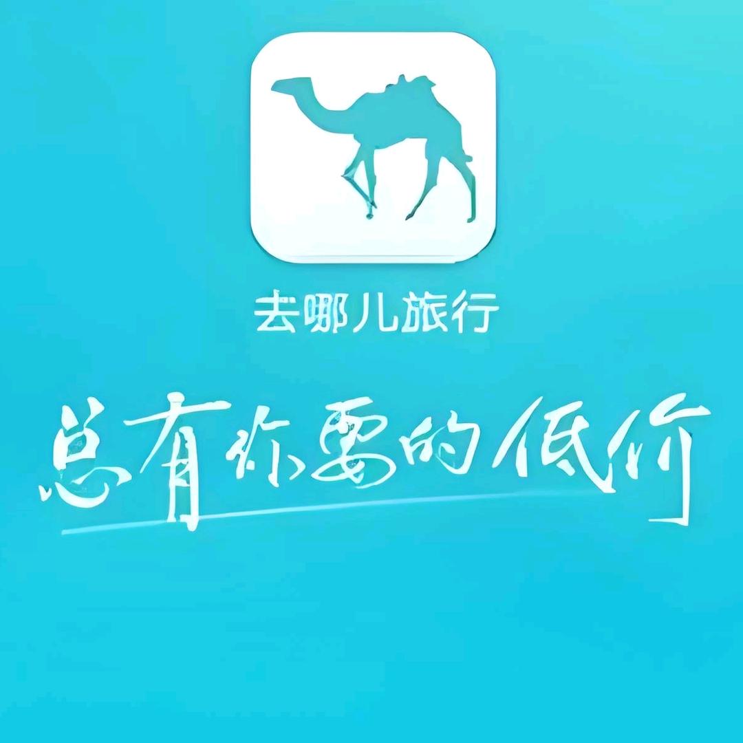 去哪儿旅行大同
