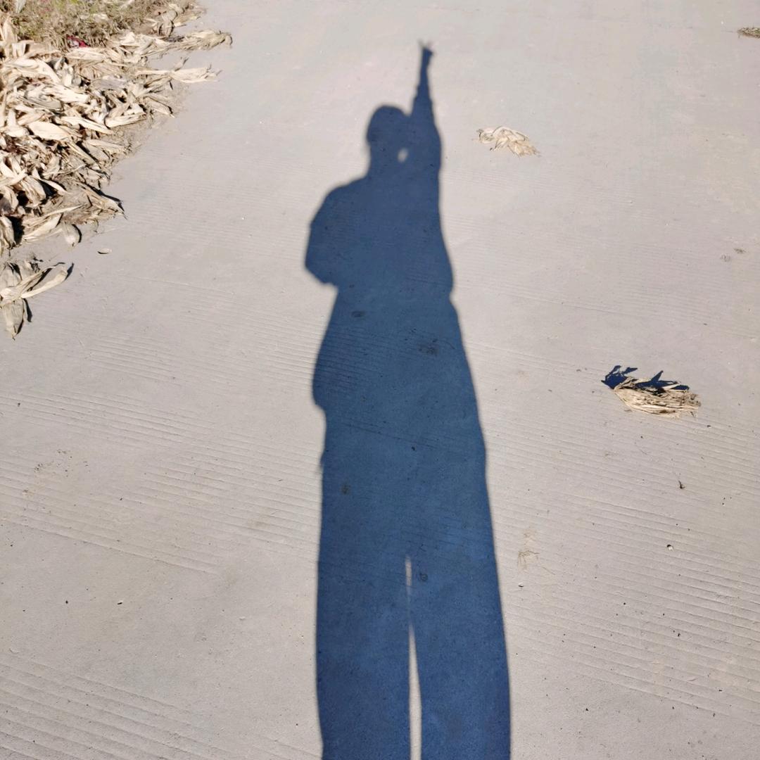 小鱼