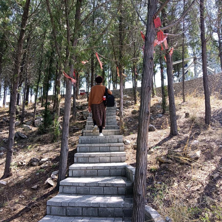 崔催