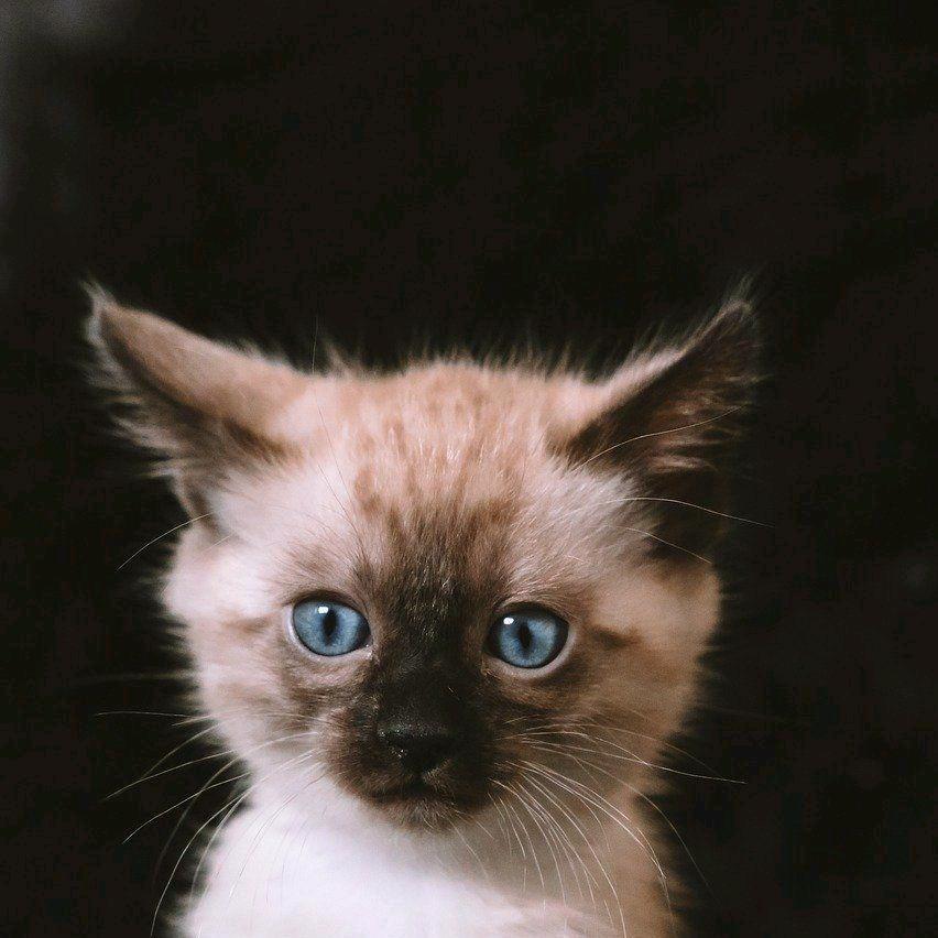 。。。