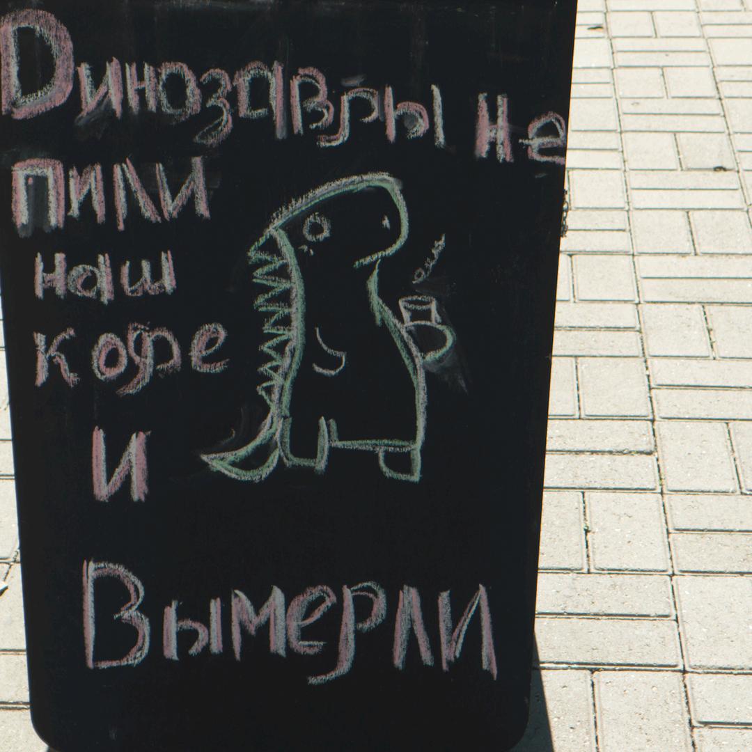 招募橘子的杀手猫猫🐱