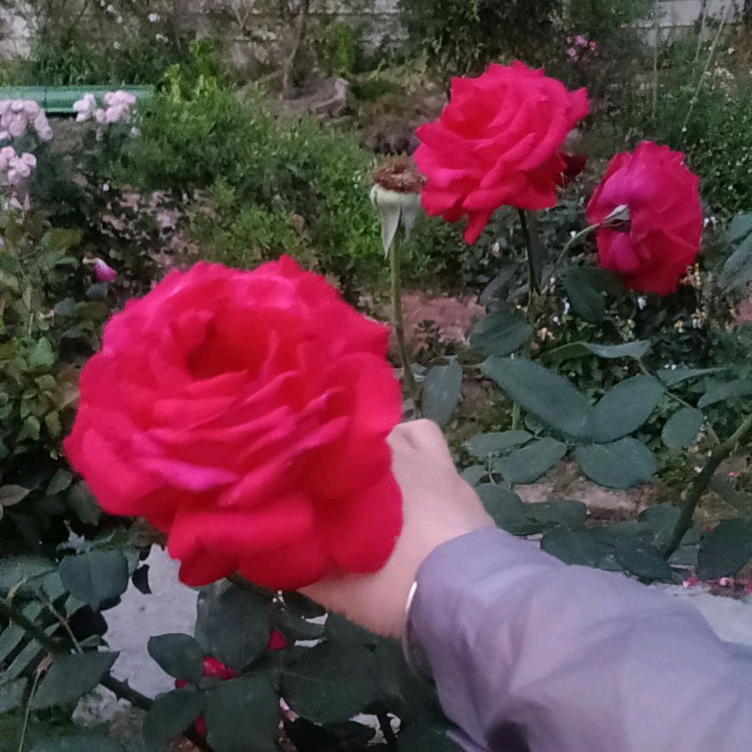 ༅༊᭄ᮨ💯爱᭄财🥰⃝爱己ོ࿐