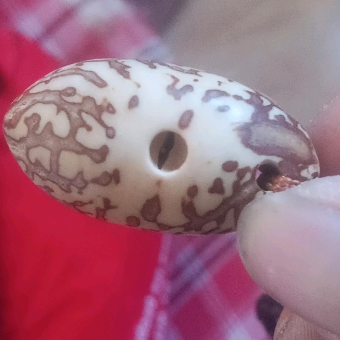 一生有你