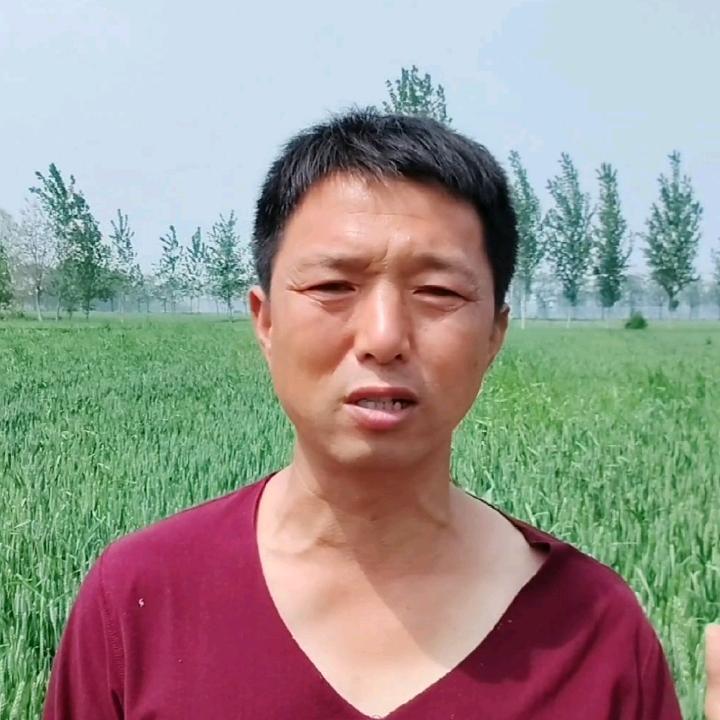 春哥农资