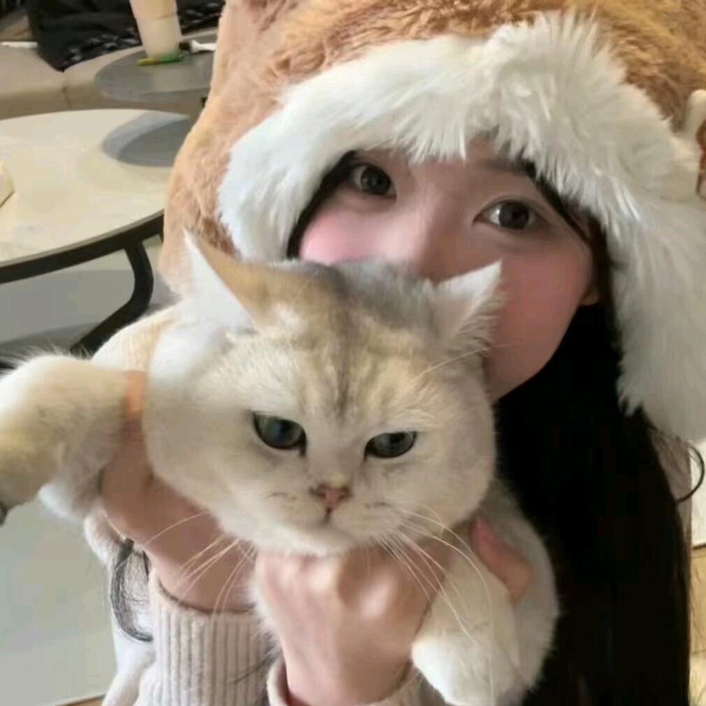 小芯淇
