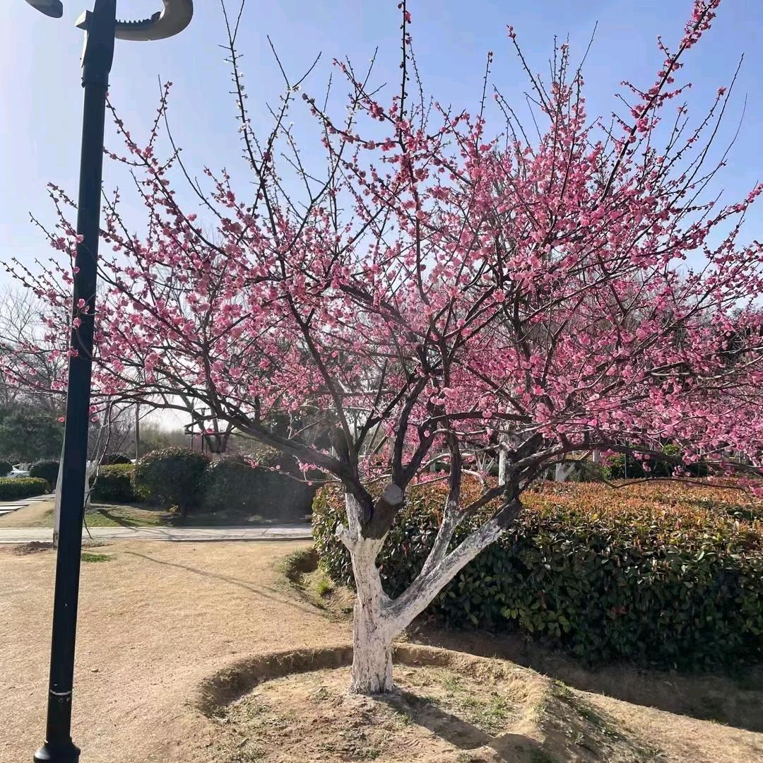 悲喜难自渡