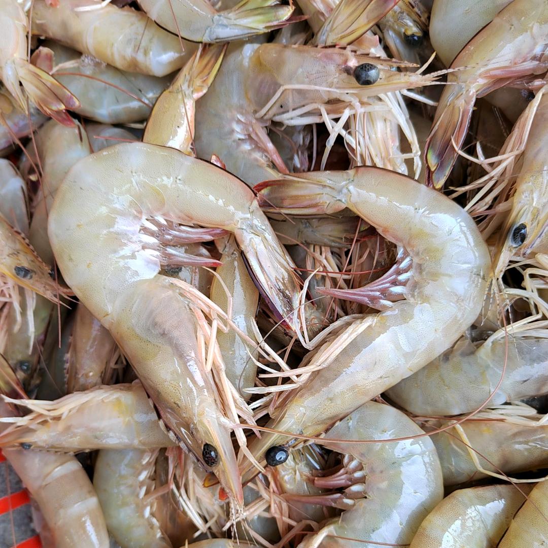 食全食美海鲜