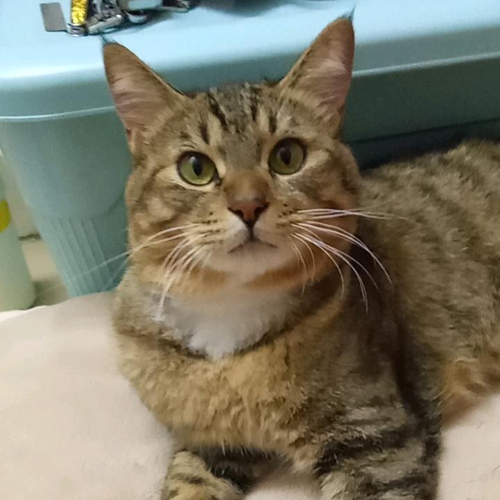 婷宝头像