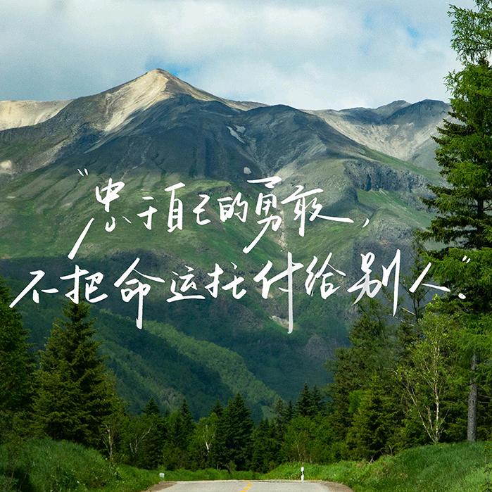 党店木材加工厂