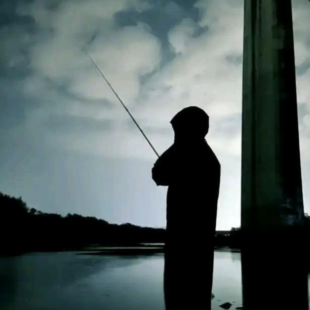 小渔哥🎣